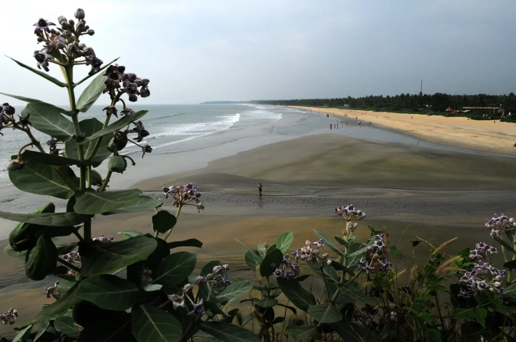 Payyambalam Beach – A Peaceful Escape in Kannur